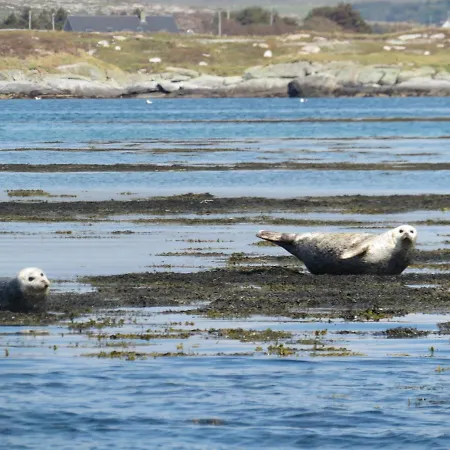 Sea Breeze Dungloe